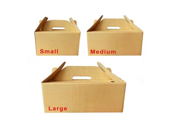 Carriable Chicken Box