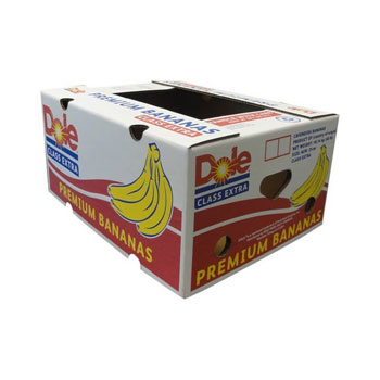 Fruit Box