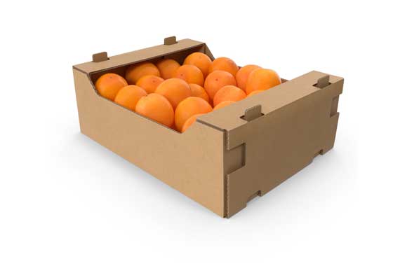 Orange Box