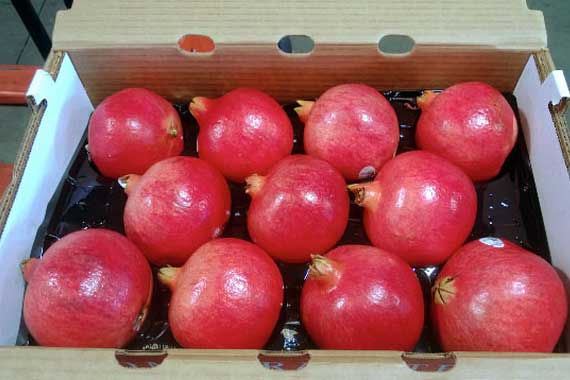 Pomegranate Boxes